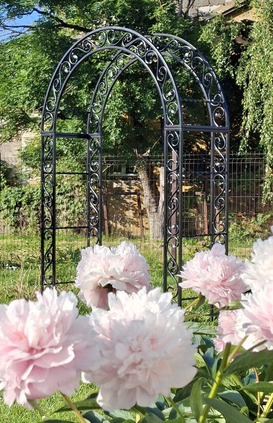 Garden Arches