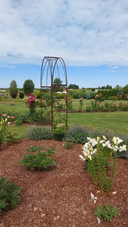 Garden Arch